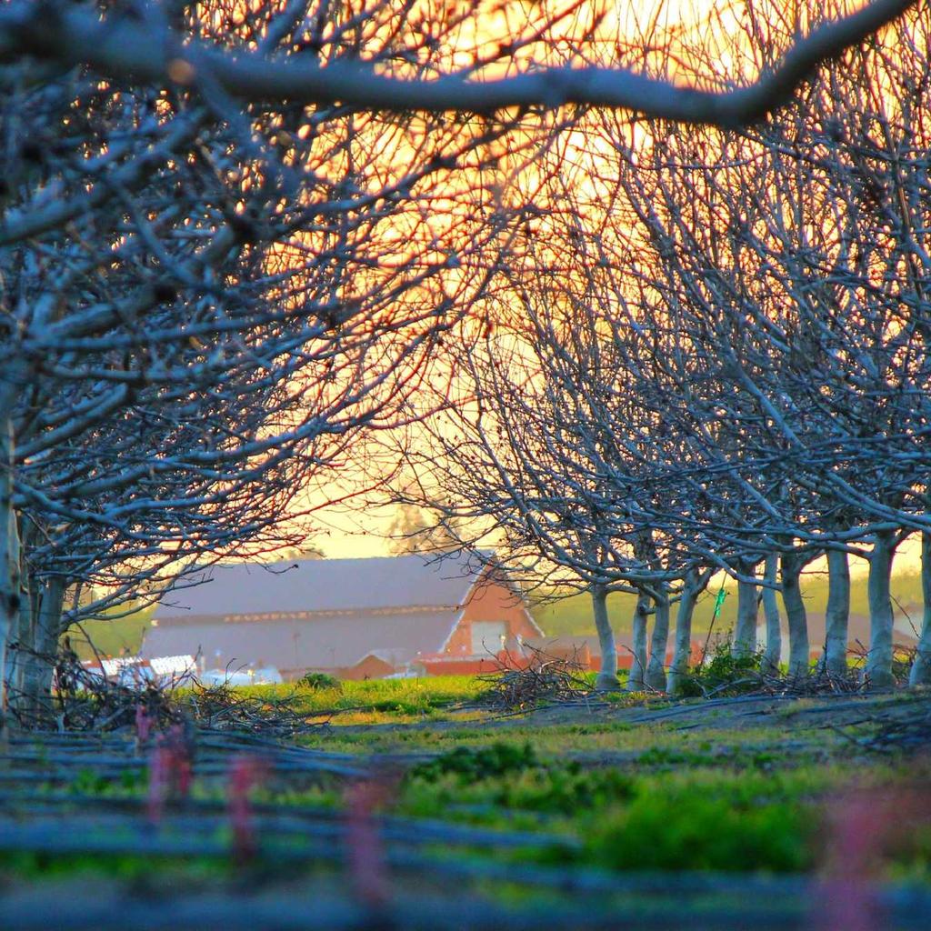 Neque labore fugit voluptate quo doloremque minus