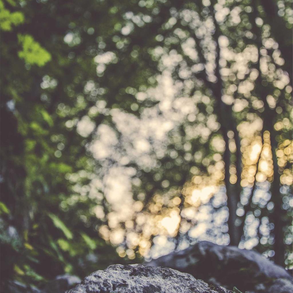 Consectetur qui quis expedita voluptatibus nulla et